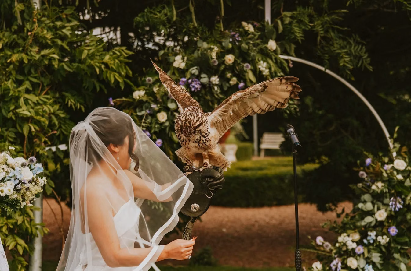 Wedding at Winton Castle — photograph 23